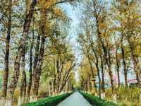 Quick Guide: Best 3 Parks to Visit in Beijing