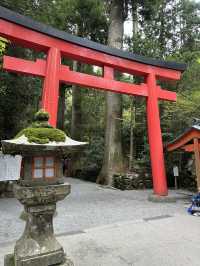 ⛩️ Hakone Shrine – ศาลเจ้าศักดิ์สิทธิ์กลางธรรมชาติ