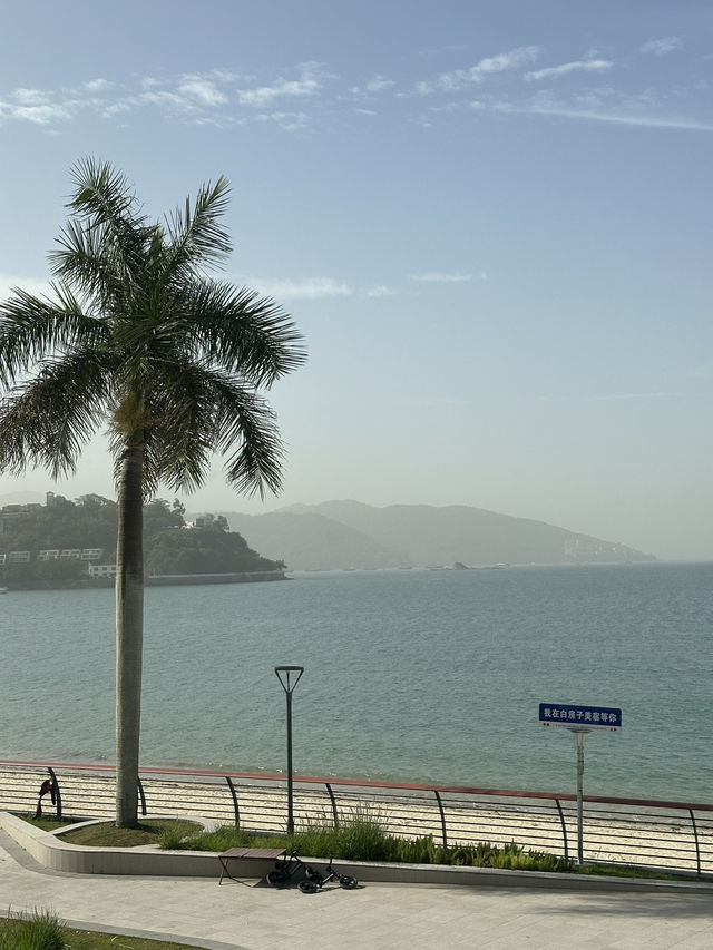 Room With a View🌴 Room With a View🌴