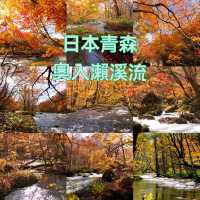 青森小眾秘境！奧入瀨溪流14公裡絕美徒步攻略🚶‍♀