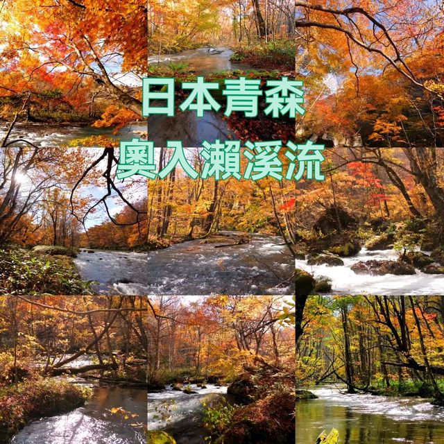 青森小眾秘境！奧入瀨溪流14公裡絕美徒步攻略🚶‍♀