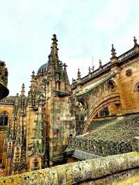 하늘을 향한 돌의 노래 살라망카대성당