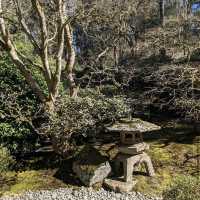 Washington Park Arboretum