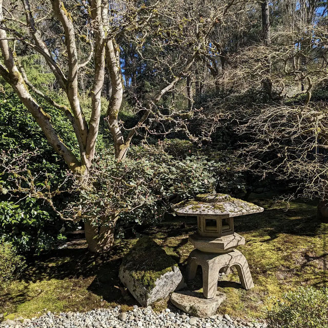 Washington Park Arboretum Washington Park Arboretum
