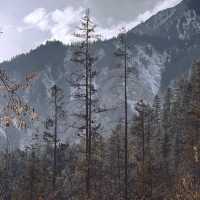 Chengdu > Huanglong > Jiuzhaigou > Chengdu 3 วัน 2