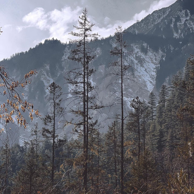 Chengdu > Huanglong > Jiuzhaigou > Chengdu 3 วัน 2