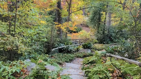 Vườn Sarah P. Duke — traveler post in Durham