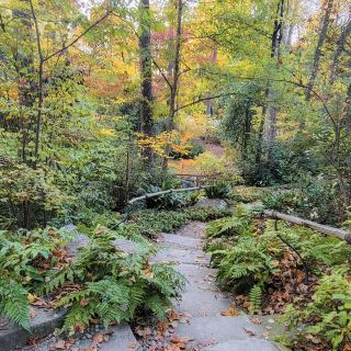 Sarah P. Duke Gardens