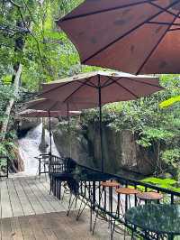 Ted du coffee @แม่กำปอง