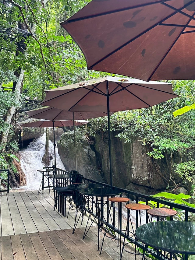 Ted du coffee @แม่กำปอง Ted du coffee @แม่กำปอง