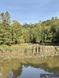 山丘環抱下的寧靜寺廟  