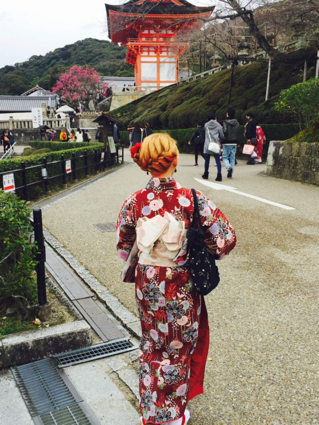 일본 교토 가볼만한 기요미즈데라 청수사 명소 추천