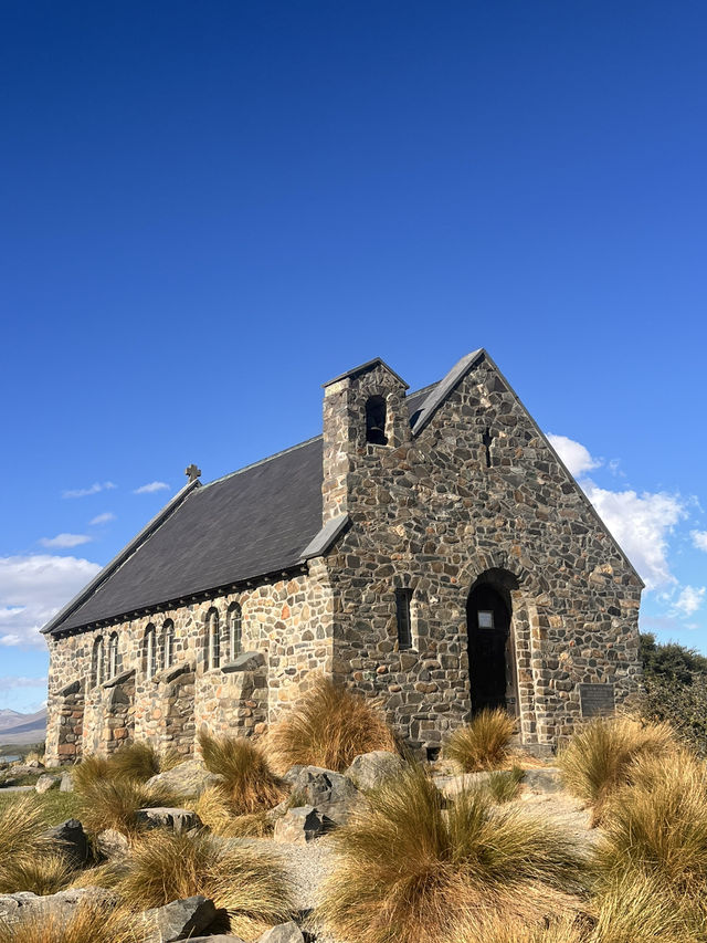 念願のTekapo⛪️⭐️ルピナスが咲き誇ってた! 念願のTekapo⛪️⭐️ルピナスが咲き誇ってた!