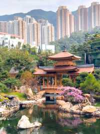 A Tang Dynasty Dream in Diamond Hill