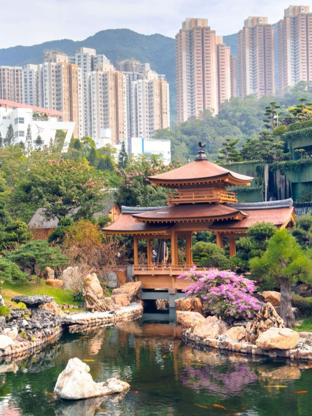 A Tang Dynasty Dream in Diamond Hill A Tang Dynasty Dream in Diamond Hill