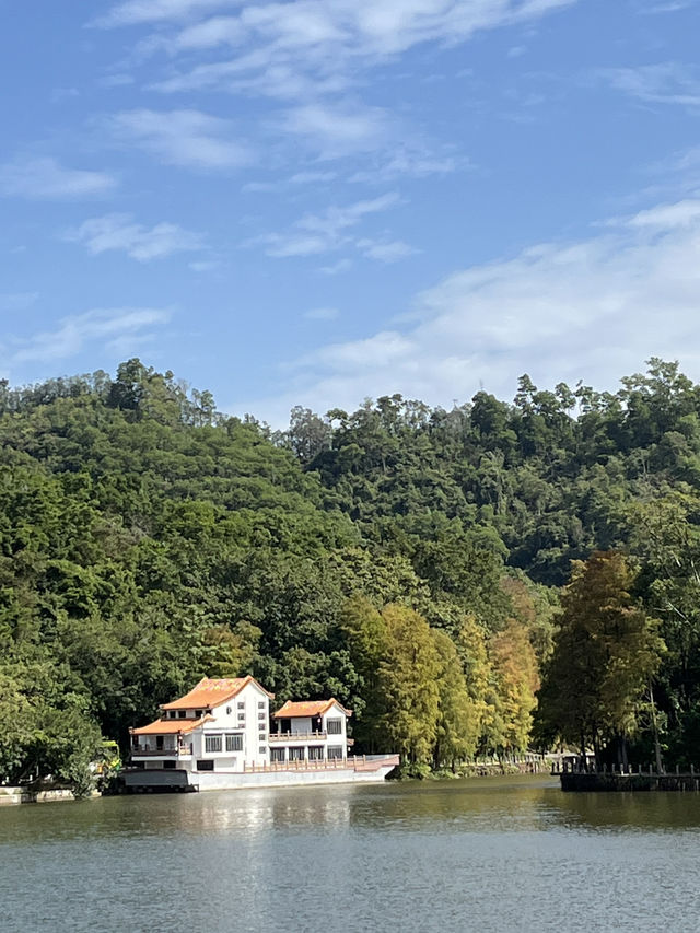 深圳秋日落羽松打卡|仙湖公園浪漫湖邊漫步🌲🍁 深圳秋日落羽松打卡|仙湖公園浪漫湖邊漫步🌲🍁
