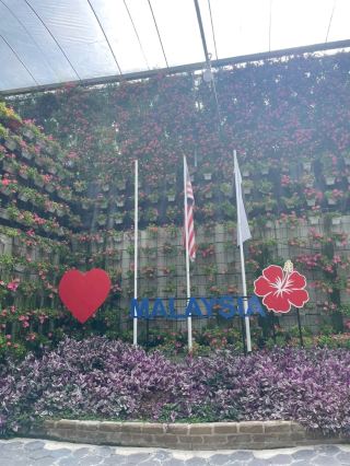 Got the travel bug for nature and fresh air? Here’s your go-to guide for Fraser Coast Regional and the scenic Cameron Highlands 🏞️🌿 If cozy walks and lush landscapes are your vibe, this trip seriously delivers!

Must-See Places:  
- Cameron Highlands: Get your green fix strolling through the cool air and rolling tea fields. The living wall in the Malaysian National Garden is basically an Instagram magnet! It’s open sunrise to sunset, so hit it early for fewer crowds.  
- Malaysian National Garden: Located in the heart of Cameron Highlands, the garden offers both cultural and botanical beauty. The walking paths have killer views—think close-ups of outdoor murals and plant-covered walls. Address: Jalan Taman Botani, Cameron Highlands, open 8am–6pm.

Pro Tips from My Visit:  
- Don’t rush—schedule a slow walk to really soak in the living wall and snap close-up shots of the architecture.  
- Go mid-morning for the best light (and less chance of rain!).

Getting Around:  
Bus service from major Fraser Coast hubs runs regularly up to Cameron Highlands. For real explorer vibes, grab a taxi for local stops—drivers know the best shortcuts!

Food to Fuel Your Adventure:  
After your garden walk, check out Raju’s Hill Strawberry Farm Café (near Taman Botani). Try the strawberry milkshake or classic Malaysian scone—trust me, it’s a next-level treat!

Essential Travel Tips:  
Weather’s mild but brings a light rain jacket—showers roll in quick in the highlands. Local ATMs are everywhere, but bring some cash for market stalls. No visa hassles if you’re on a short trip.

#FraserCoastNature #CameronHighlands #GardenWalks #MalaysiaTravel