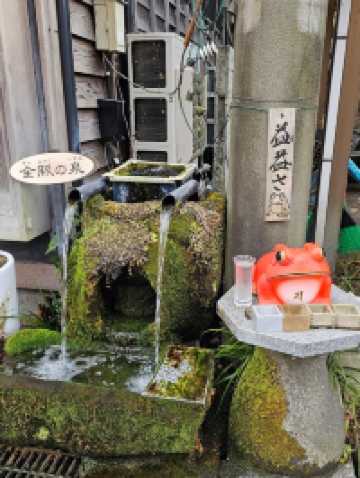 《阿蘇宮地湧泉水巡禮，每一口水都幸福》