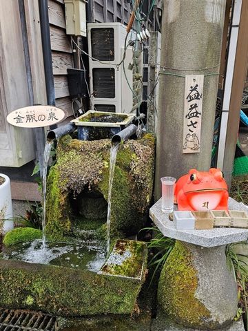 《阿蘇宮地湧泉水巡禮，每一口水都幸福》