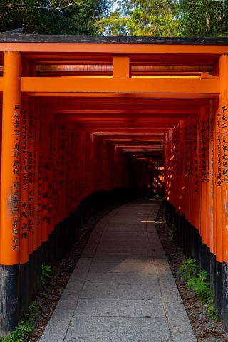 เกียวโต: วัดวาอาราม ถนนที่เงียบสงบ และยามเช้าตรู่