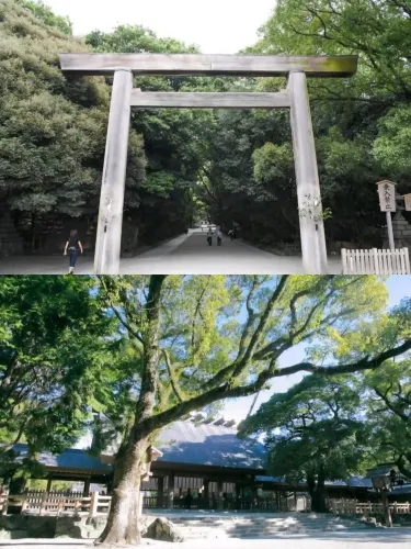 🌲 숲 속 신사, 아쓰타 신궁