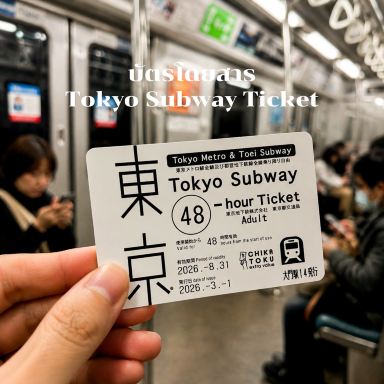 Tokyo Subway Ticket 72時間 東京サブウェイチケット10枚 Tokyo Subway Ticket（東京サブウェイチケット）。 | Trip.com 東京
