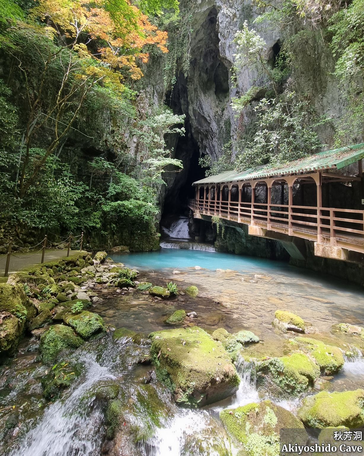 Exploring Yamaguchi Beauty & Eats | Trip.com Mine