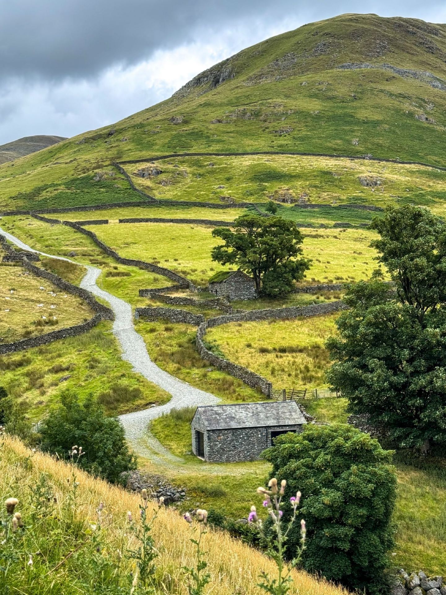 🌿 The Lake District, Cumbria — A Landscape Made of Dreams 🏞️🇬🇧