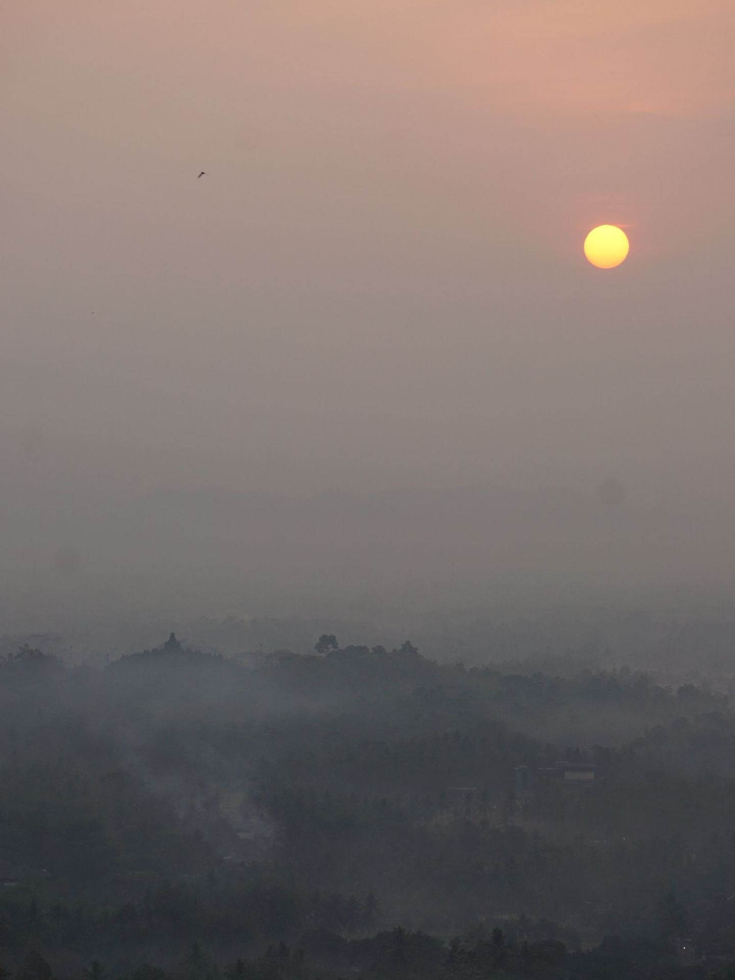 [Yogyakarta, Indonesia] The Ultimate Borobudur Sunrise Guide: Witness the Ancient Miracle at Punthuk Setumbu!