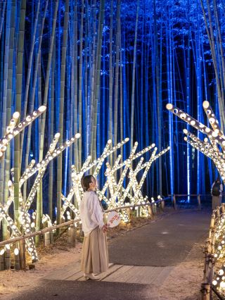 ＼Arashiyama at night was absolutely magical🎋✨／