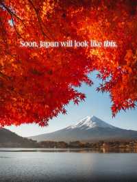 Japan In Autumn Is A Different Kind Of Magic 🍁🇯🇵