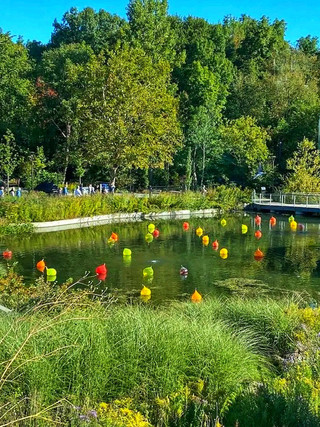 A Colorful Fall Day at Chihuly Garden and Glass 🍁✨