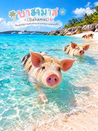 BAHAMAS — A Caribbean Blue Paradise: A Must-Visit Bucket List Destination.
