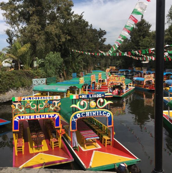 A View of Mexico City Through the Xochimilco Canals