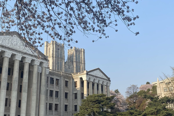 설렘이라는 벚꽃이 피어나다, 경희대학교 서울캠퍼스 | 트립닷컴 서울
