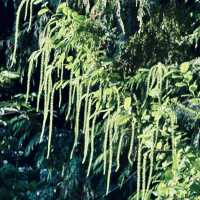 很幽靜美麗的社區植物園