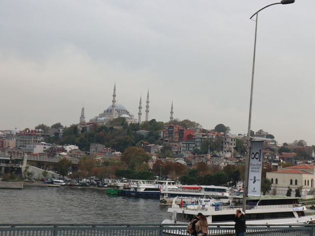 【トルコ】異国情緒あふれるイスタンブールを散策🇹🇷🧚