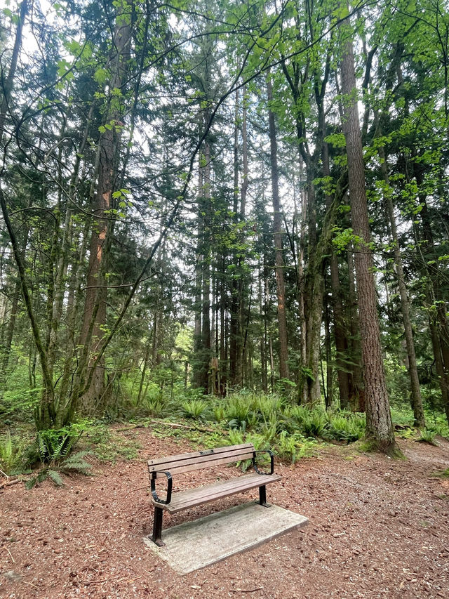 Vancouver에 수많은 공원중에 시원하게 둘레길 산책하기 좋은 Mundy park