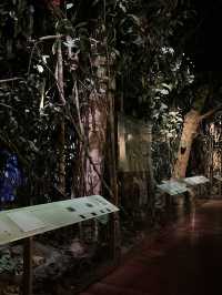 人気映画night museum のロケ地？！アメリカ自然史博物館