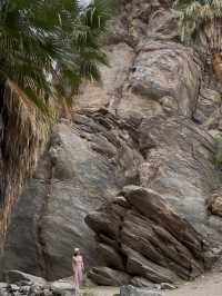 come and see the desert oasis！！