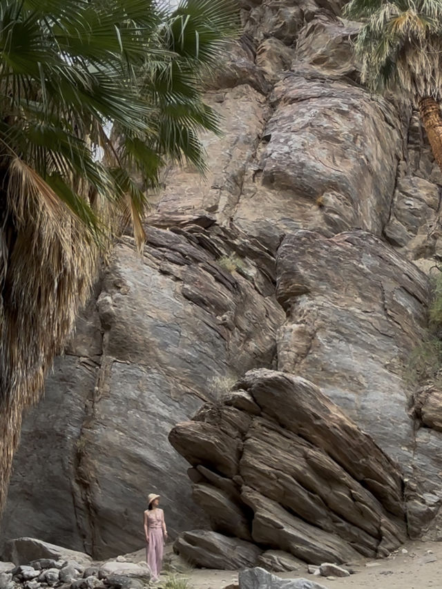 come and see the desert oasis！！