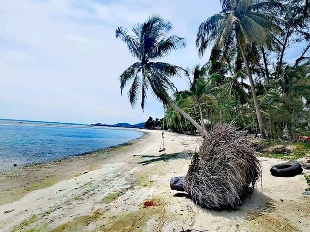 納通海灘