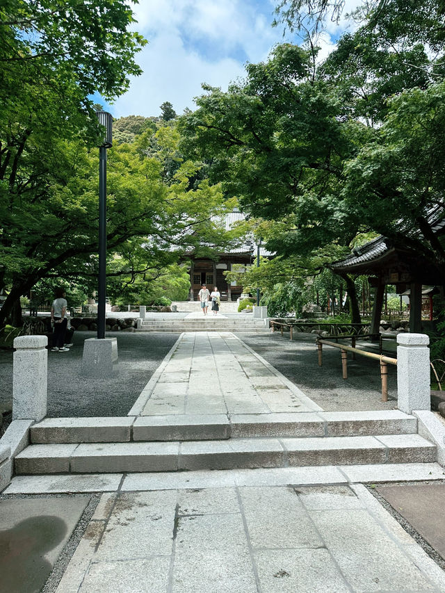 🏮【伊豆修善寺】隱世古町的日式療癒之旅🌿｜溫泉、竹林小徑、禪意滿滿✨