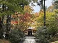 ♀️ 靜心之旅|7天6夜關西靈修溫泉散策記