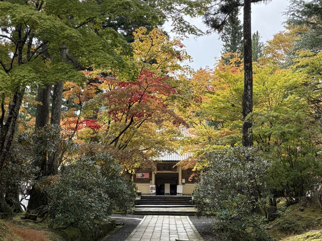 ♀️ 靜心之旅|7天6夜關西靈修溫泉散策記 ♀️ 靜心之旅|7天6夜關西靈修溫泉散策記