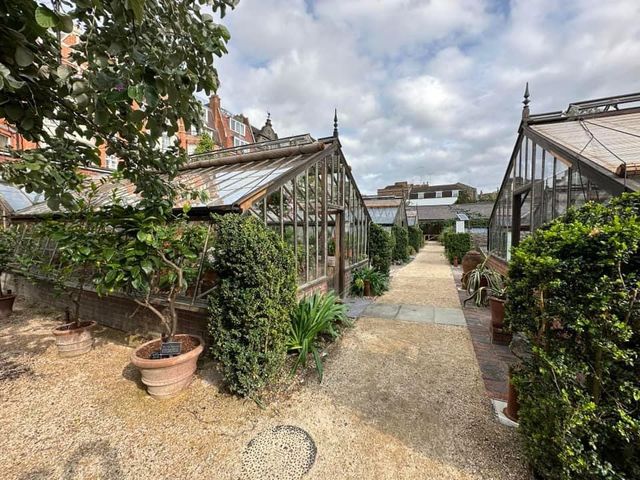 Chelsea Physic Garden 🇬🇧