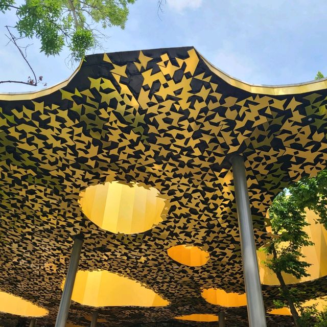 Green lung of Buda 🌻