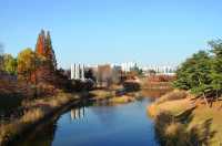 History and Modernity in Seoul