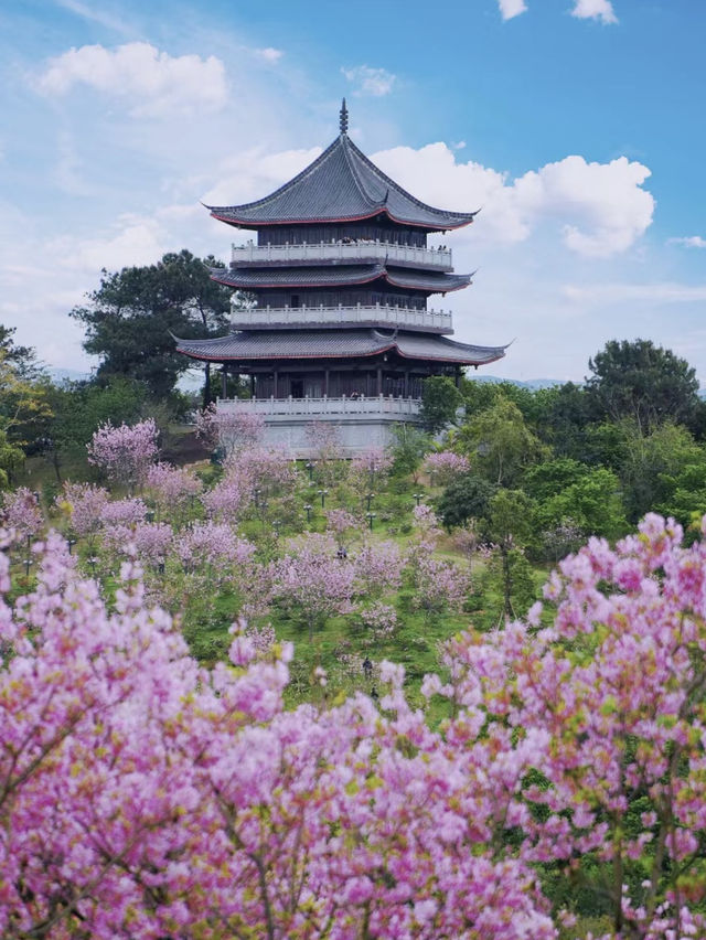 Mt.Qingxiu Nanning🏔️🌸