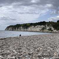 Devon uk | beaches | hikes | Ponies